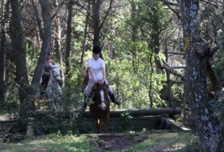 paseo a caballo en el Gard 